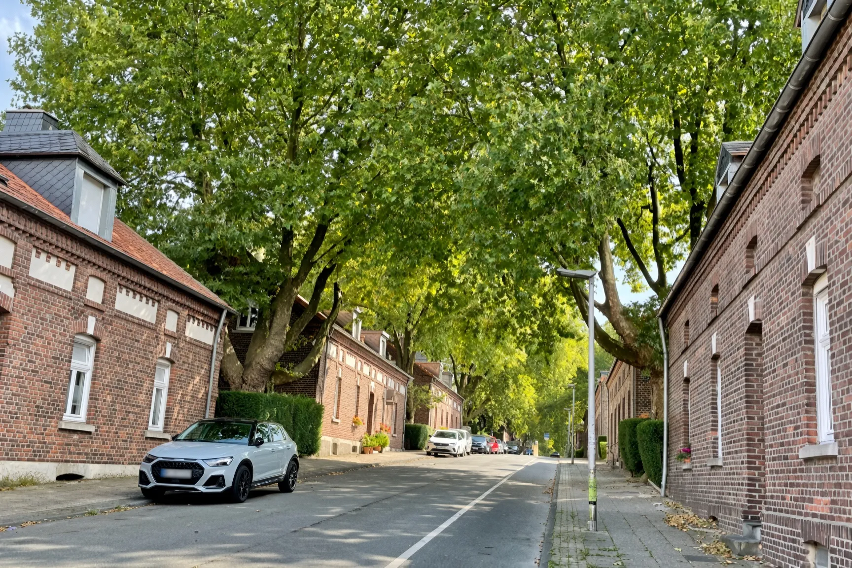 Straße mit alten Backsteinhäusern der Bergarbeitersiedlung unter hohen Laubbäumen.